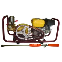 Hand Lift Type 168f Gx160 6.5HP Gasoline Engine Power Sprayer