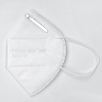 Personal Protection Ffp2 Disposable Mask Kn 95 with Test Report