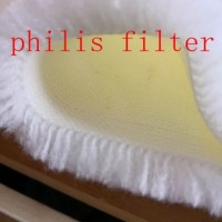 Pile Filter Cloth / Micro Filter Cloth Fabric for Wast Water Treatment Media