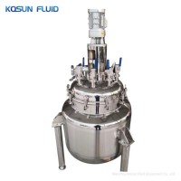 20L 30L 50L Stainless Steel and Glass Industrial Fermentor Bioreactor