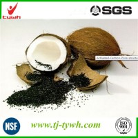 Coconut Shell Activated Carbon