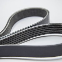 Ribbed Pk Belt V Belt Rubber Belt Transmission Belt EPDM Kevlar 6pk1665 for Peugeot 405