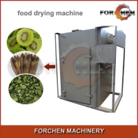 Automatic Electric Hot Air Food Dryer