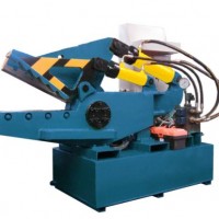 Hydraulic Alligator Shear (Q08-100)