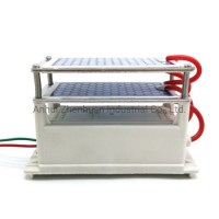 220V/110V DIY Ozone Generator 20g with Double Ceramic Plate