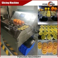 Palm Jackfruit Cutting Slicing Machine