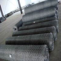 Hot Selling Hexagonal Wire Mesh Plastic Coated Forchicken Farm Fence