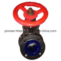 Glass Lined Flush Valve