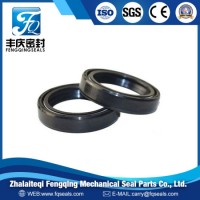 OEM Tc Tb Sc Tg Oil Seal NBR Viton Rubber Framework Oil Seal