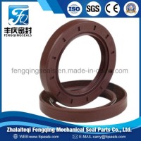 OEM Oil Seal Viton NBR Silicone Rubber Framework Oil Seal