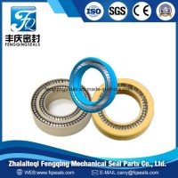 Spring Energized Seal PTFE Rotary Shaft Seals