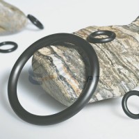 Seal / O Ring