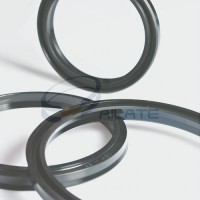 LBH Wiper Seal