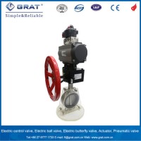 Dn300 Ss304 Double Action Pneuamtic Butterfly Valve with Manual Gear