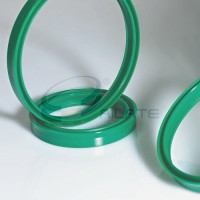 BS Rod Seal