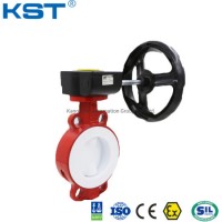 Full PTFE Lined Wafer Butterfly Valve with Gearbox