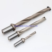 Weldon Shank Spade Drill Holder/Replaceable Tip Spade Drill