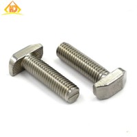 Anti Rust Top Quality Ss 304 5/16" T Bolt