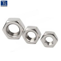 Stainless Steel SS304 SS316 DIN934 Hex Nut  Ready to Ship