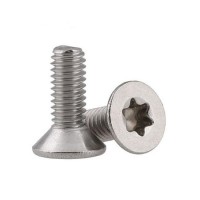 Stainless Steel Rust Anti Torx Csk Head Anti-Theft Security Outdoor Screws