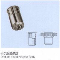 Reduce Head Knurled Body Rivet Nuts