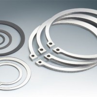 Retaining Ring & Circlip (DIN471/DIN472/DIN6799)