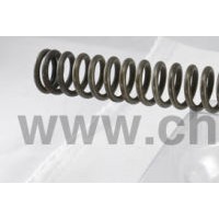 Stainless Steel Compression Spring Soil Spring