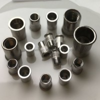 Stainless Steel Reduce Head Knurled Body Rivet Nut