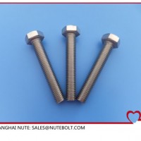 Stainless Steel Bolt (A2)