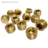 Dme Mold Parts Brass Pipe Plugs for Injection Molding