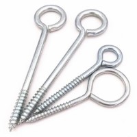 Special Galvanized Eye Bolts / Eye Screws