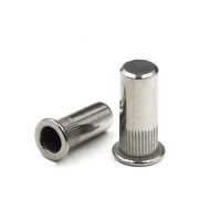 Stainless Steel Blind Hole GB17880.1 Rivet Nut