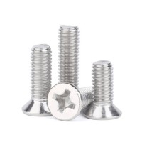 DIN965 Stainless Steel SS304 SS316 A2 A4 Phillips Cross Recessed Countersunk Head Screws