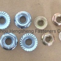 Flange Hex Nut