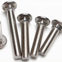 Stainless Steel Carriage Bolts / Coach Bolts