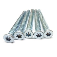 Custom Carbon Steel Zinc Plated Torx Concrete Screw