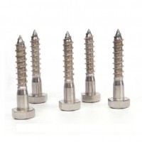 Wood Screw