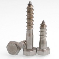 Stainless Steel Hexagon Head Wood Screws DIN571