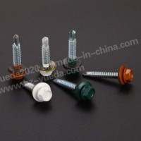 Hex Head Self Drilling Screw with Painted Head Red Painted