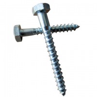 Coach Screw