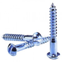 Stainless Steel 304 and 316DIN95 Wood Screws