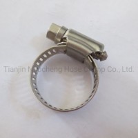 Stainless Steel Perforated American Type Worm Drive Hose Clamp