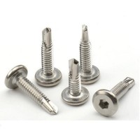 Stainless Steel Self Drilling Screw for Window