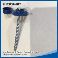 Roofing Screw Nails with Plastic Cap and Washer