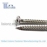 Professional Gypsum Board Carbon /Stainless Steel Drywall Screw Grade4.8/ 8.8