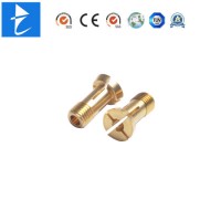 Chinese Supplier New Products Brass CNC Parts Metal Anchor Sex Bolts