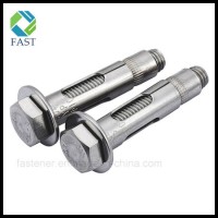 Stainless Steel Expansion Sleeve Anchor Bolt with Hex Bolt