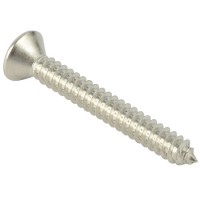 Stainless Steel Fastener DIN7981 Pan Head Csk Head Phil Cross Socket Square Torx Drive Type 17 Type