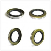 OEM Seal Agricultural Machinery Special Grease Seal Outside Steel Ring of Radial Shaft Seal Industri