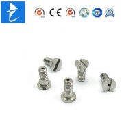 OEM Precision Nuts and Bolts Lathe Bolt Stainless Steel Stud Bolt and Nut with Tensile Strength